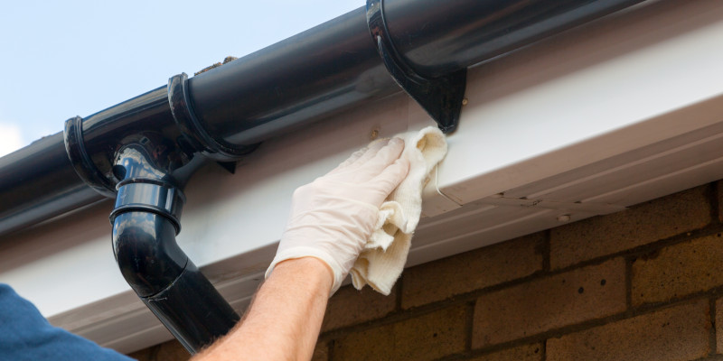Gutter Cleaning in Sanford, Florida