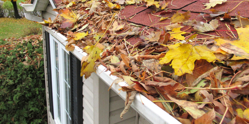 Leaf Guards in Central Florida