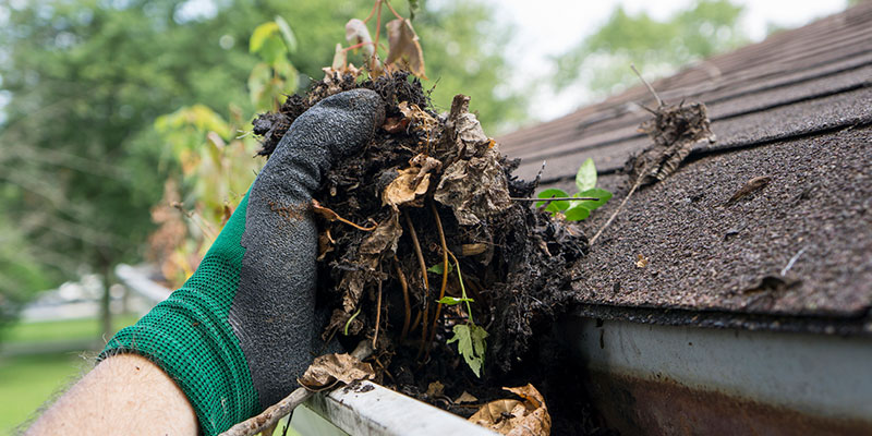 Four Tell-Tale Signs You Need Gutter Cleaning