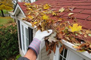 Leaf Guards: How to Prevent Gutter Damage Caused by Leaves and Debris