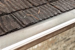 Are Gutter Guards Worth It?